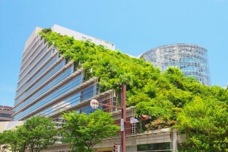 Ведущие эксперты стройиндустрии соберутся 18 июня, чтобы обсудить, какие изменения повлечет введение национального стандарта на «зеленые» крыши.