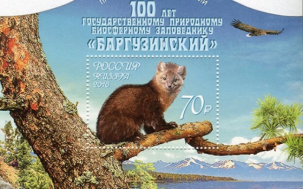 Выпуск марки приурочен к 100-летию Государственного природного биосферного заповедника «Баргузинский»