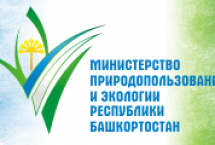 Объявлен конкурс на лучшую эмблему и слоган Года экологии и особо охраняемых природных территорий в Республике Башкортостан в 2017 году.